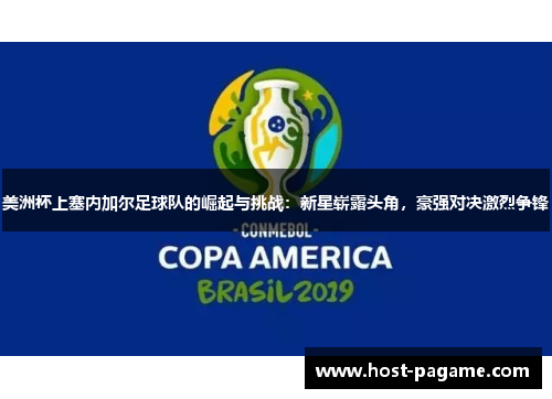 美洲杯上塞内加尔足球队的崛起与挑战：新星崭露头角，豪强对决激烈争锋